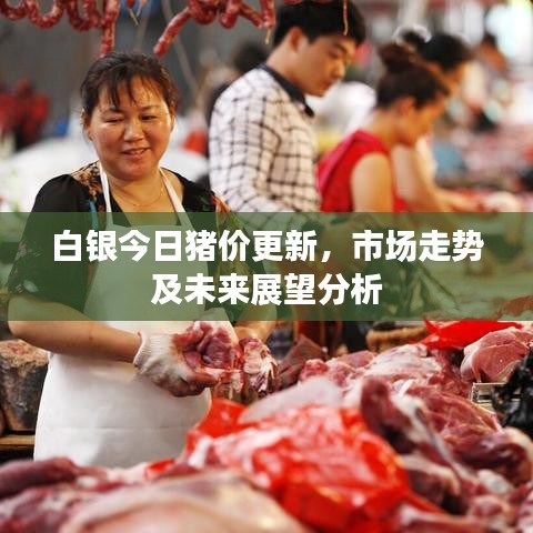 白银今日猪价更新，市场走势及未来展望分析
