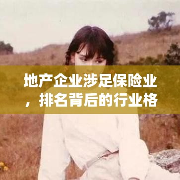 地产企业涉足保险业，排名背后的行业格局与发展趋势揭秘