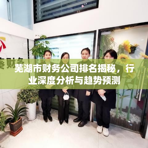 芜湖市财务公司排名揭秘，行业深度分析与趋势预测