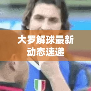 大罗解球最新动态速递