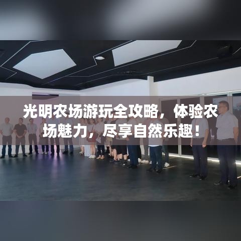 瑞雪飞舞 第2页