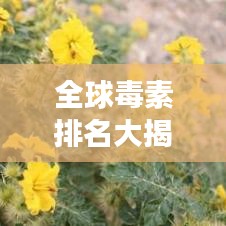 井底之蛙 第2页