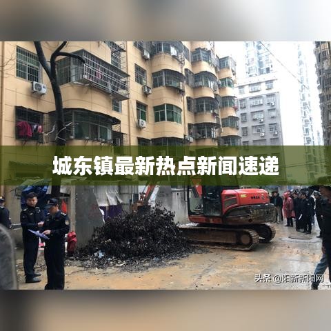 城东镇最新热点新闻速递