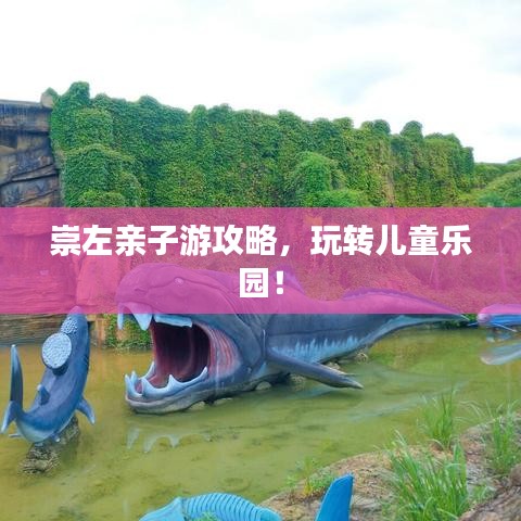 崇左亲子游攻略，玩转儿童乐园！