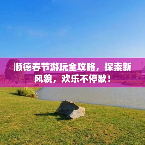 顺德春节游玩全攻略，探索新风貌，欢乐不停歇！