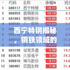 西宁特钢揭秘，钢铁领域的领航者，值得百度探寻！
