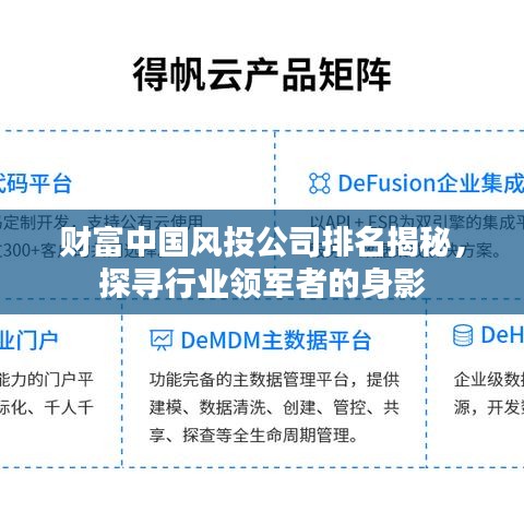 财富中国风投公司排名揭秘，探寻行业领军者的身影