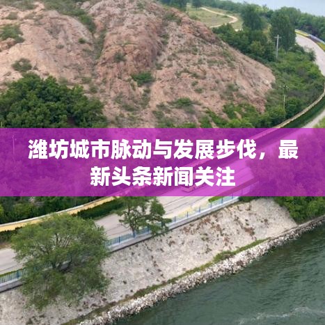 潍坊城市脉动与发展步伐，最新头条新闻关注