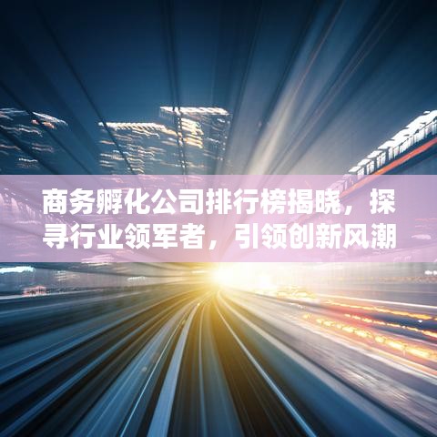 商务孵化公司排行榜揭晓，探寻行业领军者，引领创新风潮！