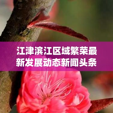 江津滨江区域繁荣最新发展动态新闻头条