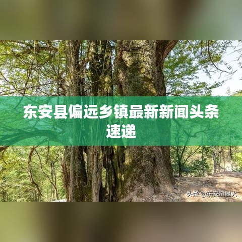 东安县偏远乡镇最新新闻头条速递
