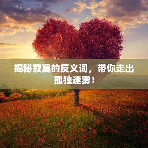 揭秘寂寞的反义词，带你走出孤独迷雾！