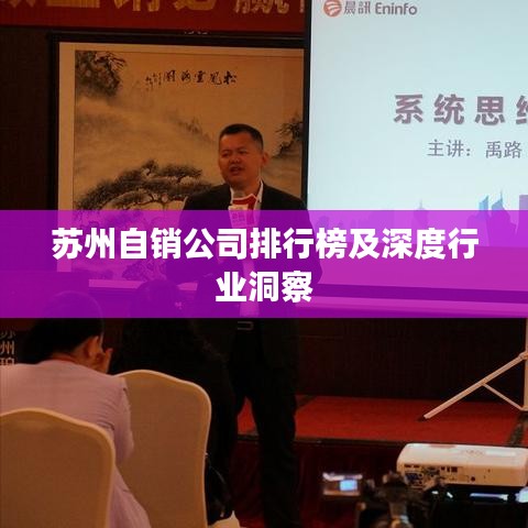 苏州自销公司排行榜及深度行业洞察