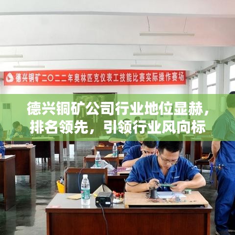德兴铜矿公司行业地位显赫，排名领先，引领行业风向标