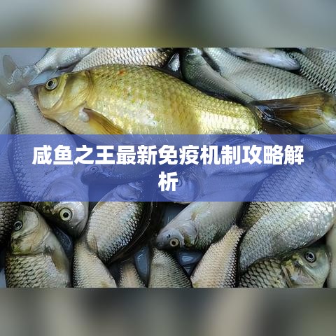 咸鱼之王最新免疫机制攻略解析