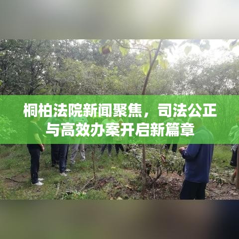 桐柏法院新闻聚焦，司法公正与高效办案开启新篇章