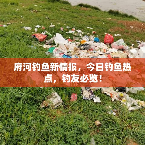 府河钓鱼新情报，今日钓鱼热点，钓友必览！