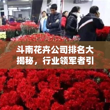 斗南花卉公司排名大揭秘，行业领军者引领潮流趋势