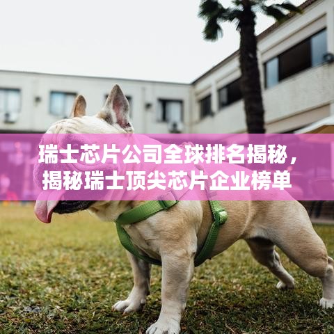 瑞士芯片公司全球排名揭秘，揭秘瑞士顶尖芯片企业榜单