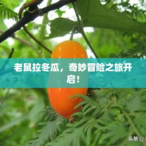螓首蛾眉 第2页