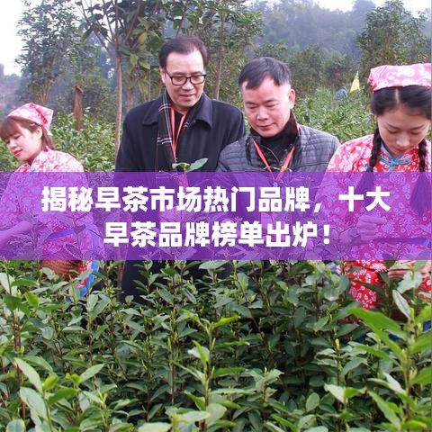 揭秘早茶市场热门品牌，十大早茶品牌榜单出炉！