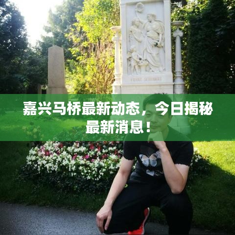 嘉兴马桥最新动态，今日揭秘最新消息！