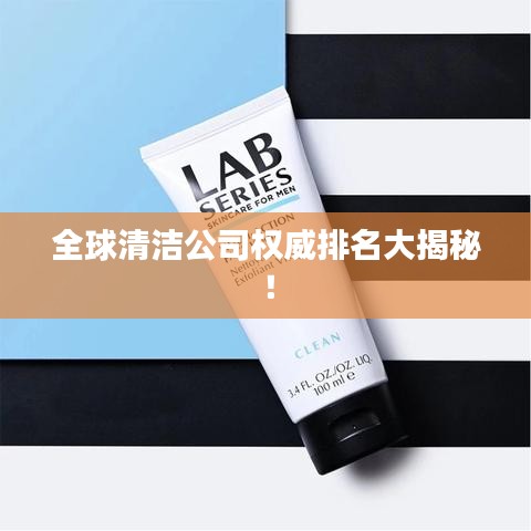 全球清洁公司权威排名大揭秘！