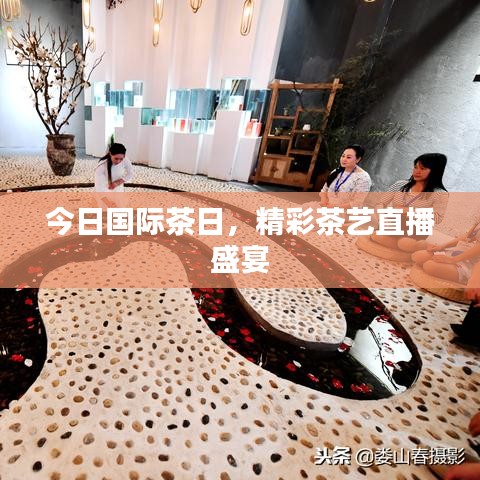 今日国际茶日，精彩茶艺直播盛宴