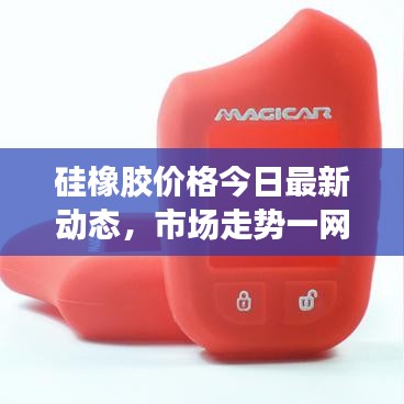 硅橡胶价格今日最新动态，市场走势一网打尽！
