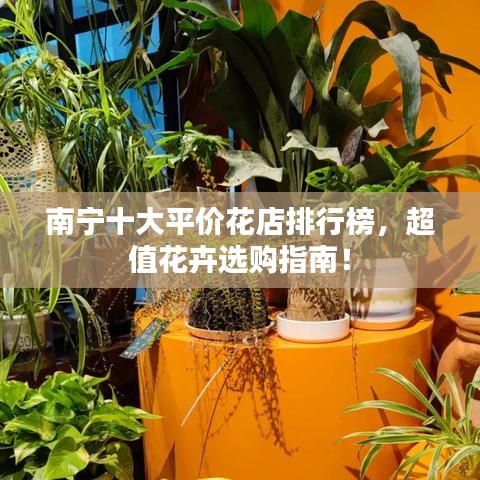 南宁十大平价花店排行榜，超值花卉选购指南！