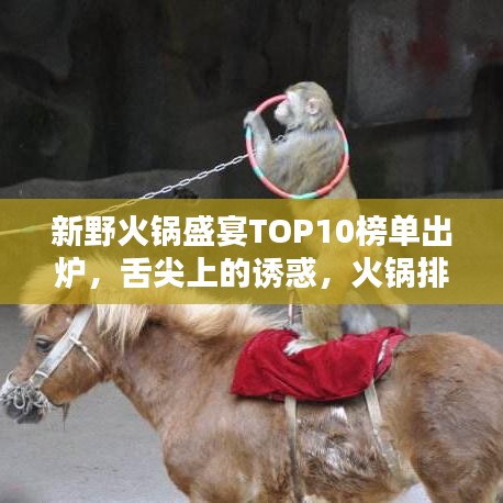 新野火锅盛宴TOP10榜单出炉，舌尖上的诱惑，火锅排名大解密！