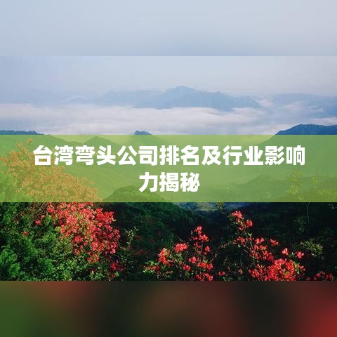 台湾弯头公司排名及行业影响力揭秘