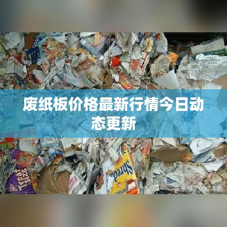 废纸板价格最新行情今日动态更新