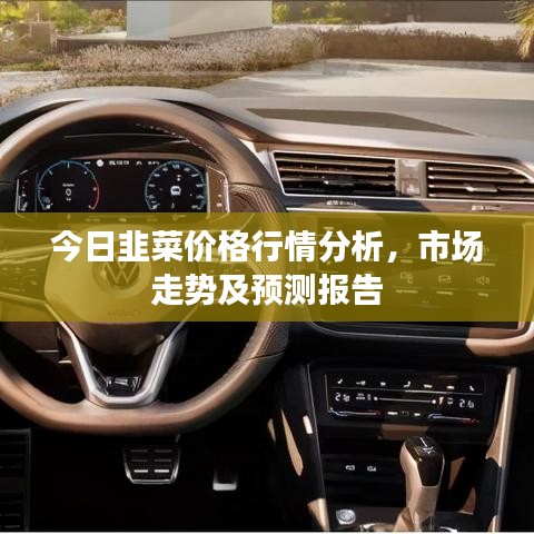 今日韭菜价格行情分析，市场走势及预测报告