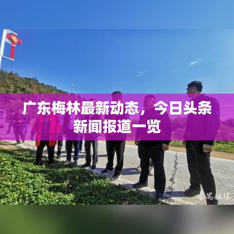 广东梅林最新动态，今日头条新闻报道一览