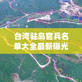 台湾驻岛官兵名单大全最新曝光，全面解读军事力量分布与人员构成