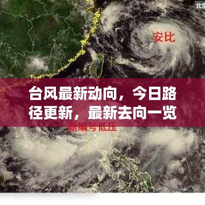 台风最新动向，今日路径更新，最新去向一览