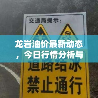 龙岩油价最新动态，今日行情分析与趋势预测