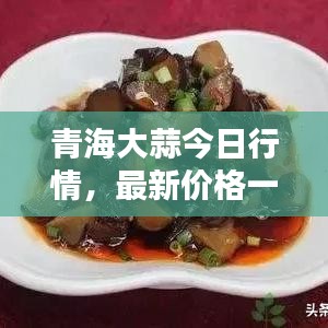 青海大蒜今日行情，最新价格一网打尽！