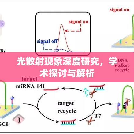 光散射现象深度研究，学术探讨与解析