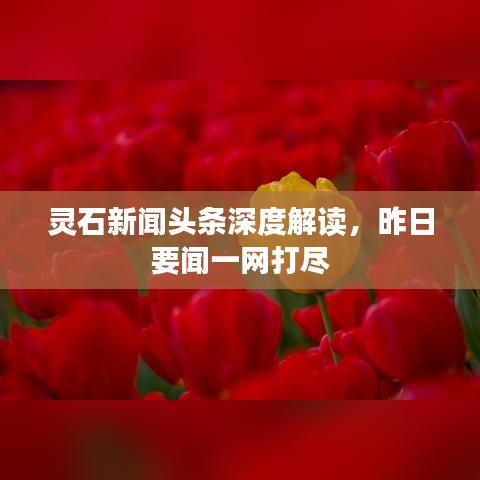 灵石新闻头条深度解读，昨日要闻一网打尽