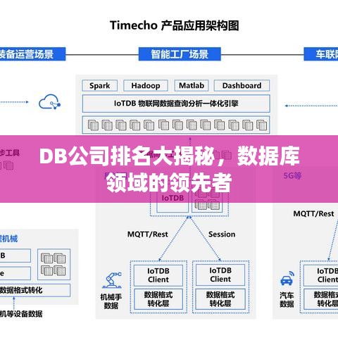 DB公司排名大揭秘，数据库领域的领先者