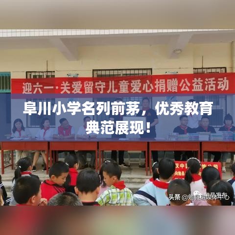 阜川小学名列前茅，优秀教育典范展现！