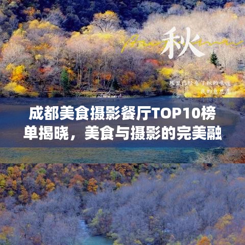 成都美食摄影餐厅TOP10榜单揭晓，美食与摄影的完美融合体验
