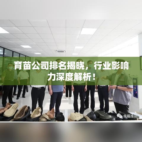 育苗公司排名揭晓，行业影响力深度解析！