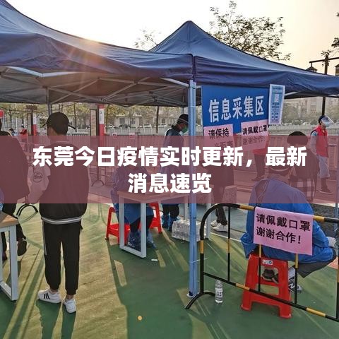 东莞今日疫情实时更新，最新消息速览