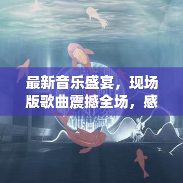 最新音乐盛宴，现场版歌曲震撼全场，感受音乐的无穷魅力