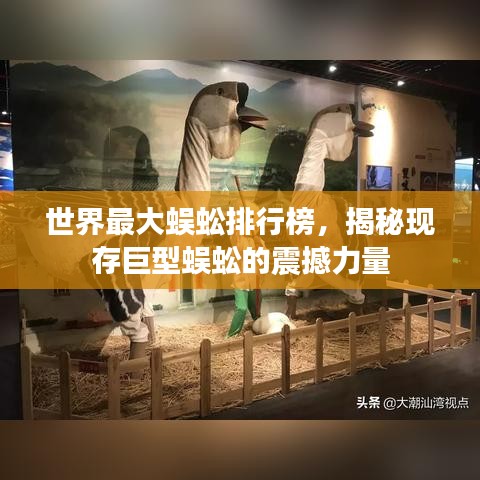 世界最大蜈蚣排行榜，揭秘现存巨型蜈蚣的震撼力量