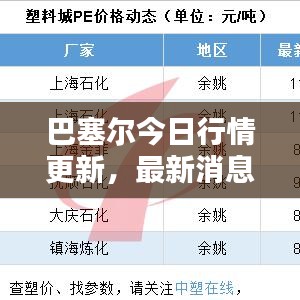巴塞尔今日行情更新，最新消息一览