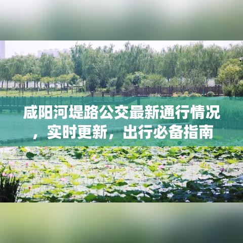 咸阳河堤路公交最新通行情况，实时更新，出行必备指南